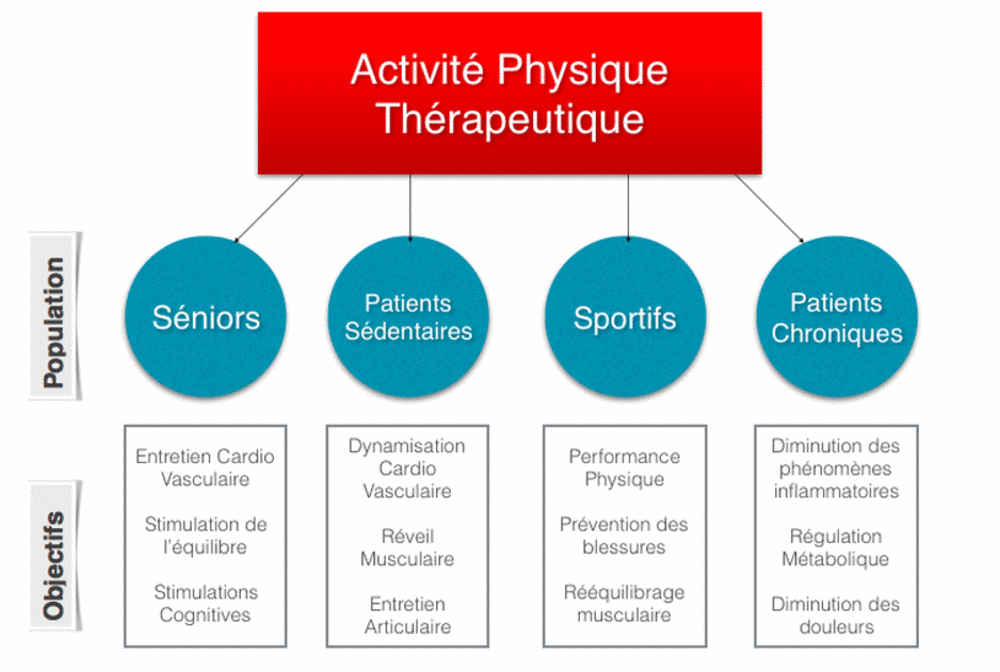 Schéma de l'activité physique thérapeutique : populations (séniors, patients sédentaires, sportifs, patients chroniques) et objectifs associés (entretien cardio-vasculaire, réveil musculaire, performance physique, régulation métabolique, diminution des douleurs)